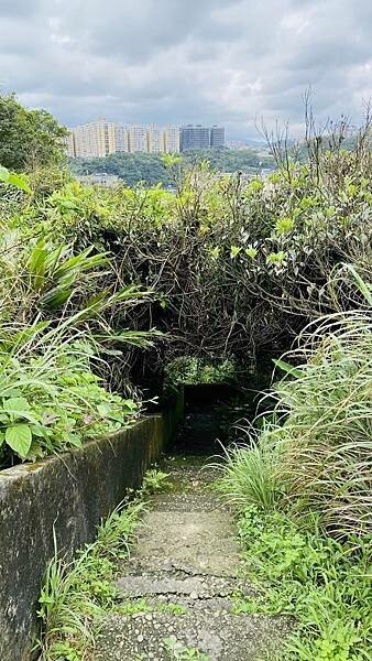 大IMG_7432 上午10.58.38.jpeg