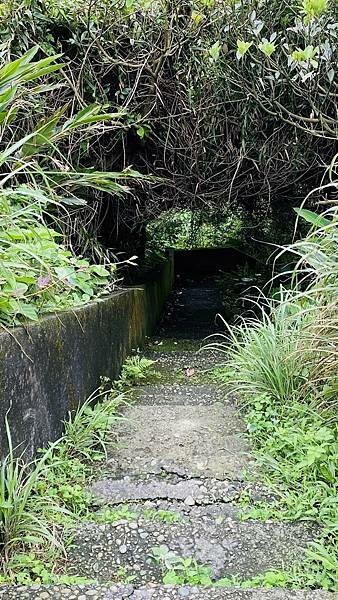 大IMG_7433 上午10.58.38.jpeg