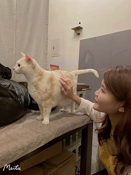 S__62849057.jpg S__62849057.jpg