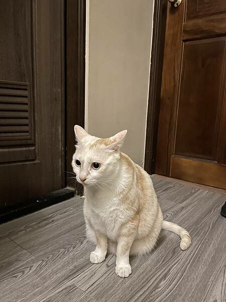 S__62849056.jpg S__62849056.jpg