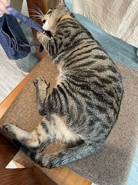 S__62849070.jpg S__62849070.jpg