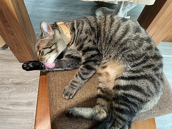 S__62849072.jpg S__62849072.jpg