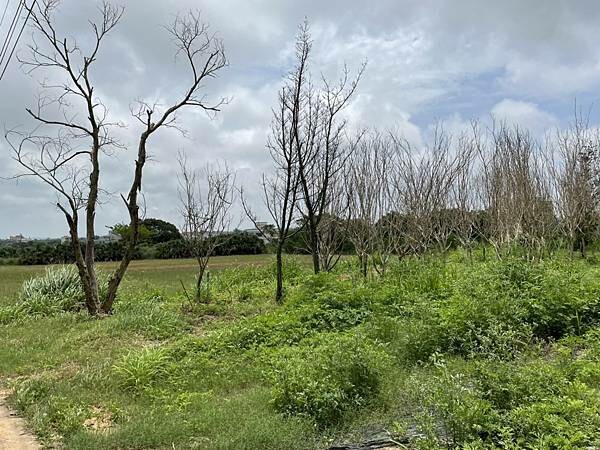 S__62849068.jpg S__62849068.jpg