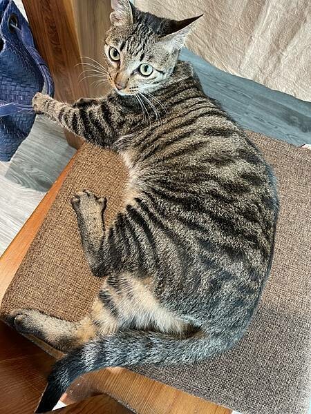 S__62849071.jpg S__62849071.jpg