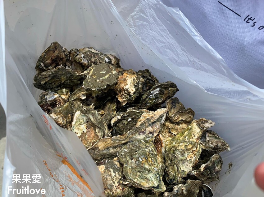 林家牡蠣|北台灣想吃帶殼牡蠣來這就對了 @果果愛Fruitlove