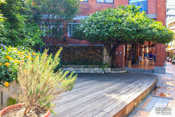 鶯歌老街喫淘趣之三│新北市/鶯歌區(從陶瓷工藝園區出發、重新認識鶯歌之美三部曲，鶯歌陶瓷一日小旅行系列)