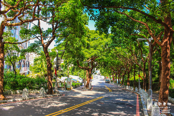 鶯歌老街喫淘趣之三│新北市/鶯歌區(從陶瓷工藝園區出發、重新認識鶯歌之美三部曲，鶯歌陶瓷一日小旅行系列)