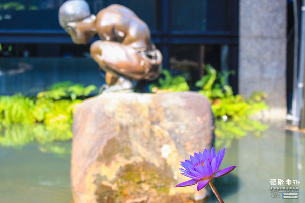 鶯歌老街喫淘趣之三│新北市/鶯歌區(從陶瓷工藝園區出發、重新認識鶯歌之美三部曲，鶯歌陶瓷一日小旅行系列)