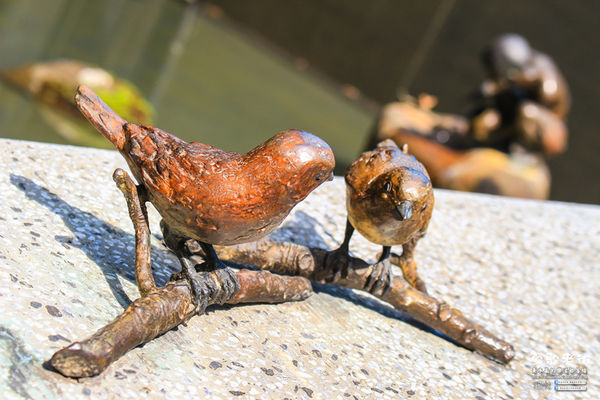 鶯歌老街喫淘趣之三│新北市/鶯歌區(從陶瓷工藝園區出發、重新認識鶯歌之美三部曲，鶯歌陶瓷一日小旅行系列)