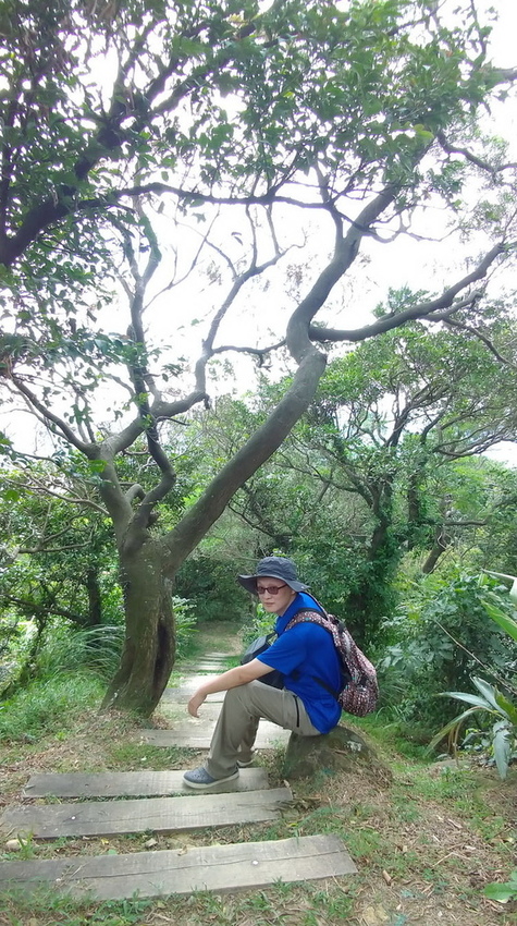 2020.08 新北微笑山線 親子登山步道推薦 碧龍步道 (1).jpg