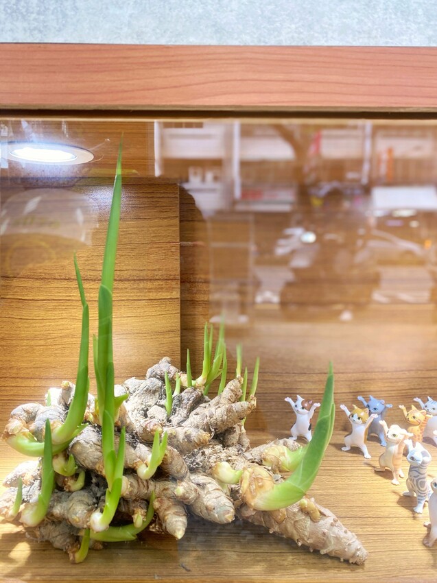 [台中北屯] 蒔補煲心湯專賣｜真材實料藥膳湯品專賣｜自製薑黃飯｜家傳的配方每日新鮮熬煮｜三款草本茶飲｜內附菜單 - 萍姐愛分享