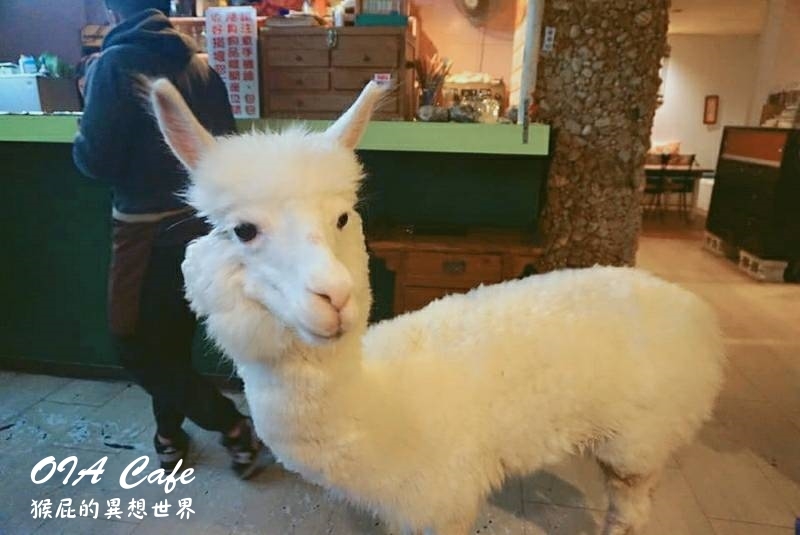 【新北淡水】全台唯一360度旋轉觀景情人塔超級浪漫！台北百萬夜景淡水情人塔！台北淡水情人塔優惠門票Klook雙人票只要299元！韓國有首爾塔，台灣有情人塔！（福容大飯店設施、淡水漁人碼頭） @猴屁的異想世界