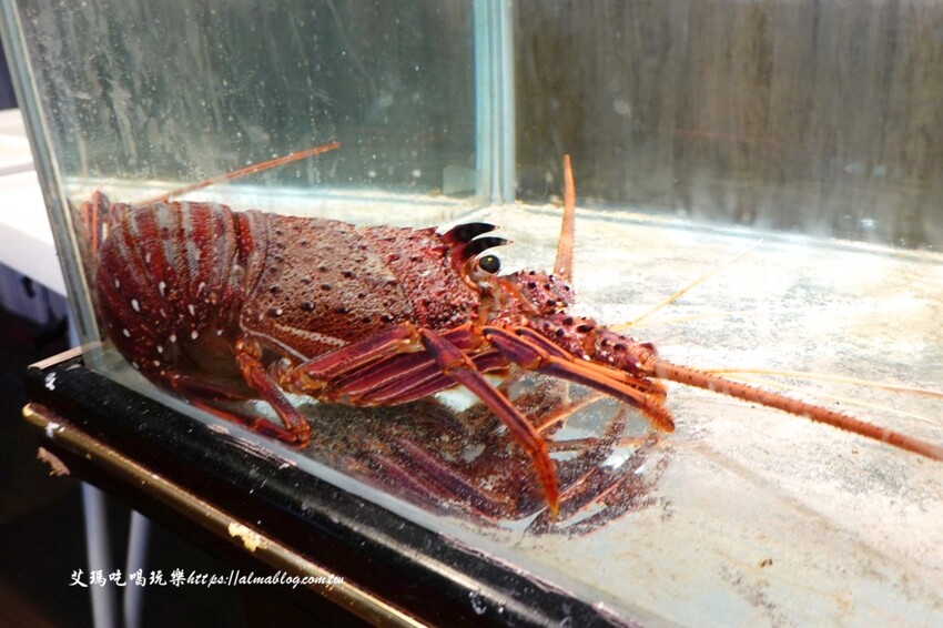 這家鐵板燒沒有豆芽菜！套餐185元內用飯、湯、杜老爺和紅茶無限供應，湯超多料耶