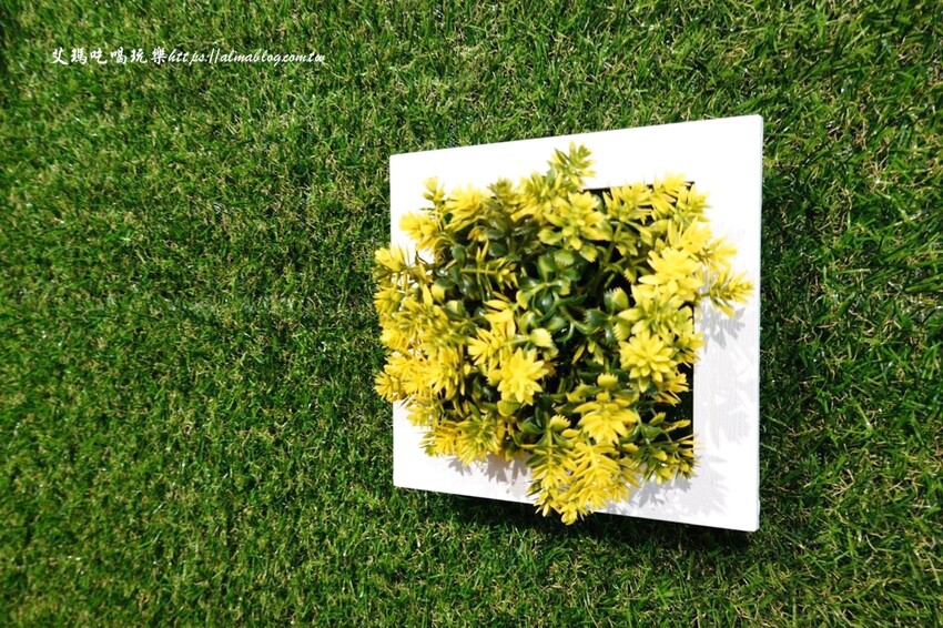 這家鐵板燒沒有豆芽菜！套餐185元內用飯、湯、杜老爺和紅茶無限供應，湯超多料耶