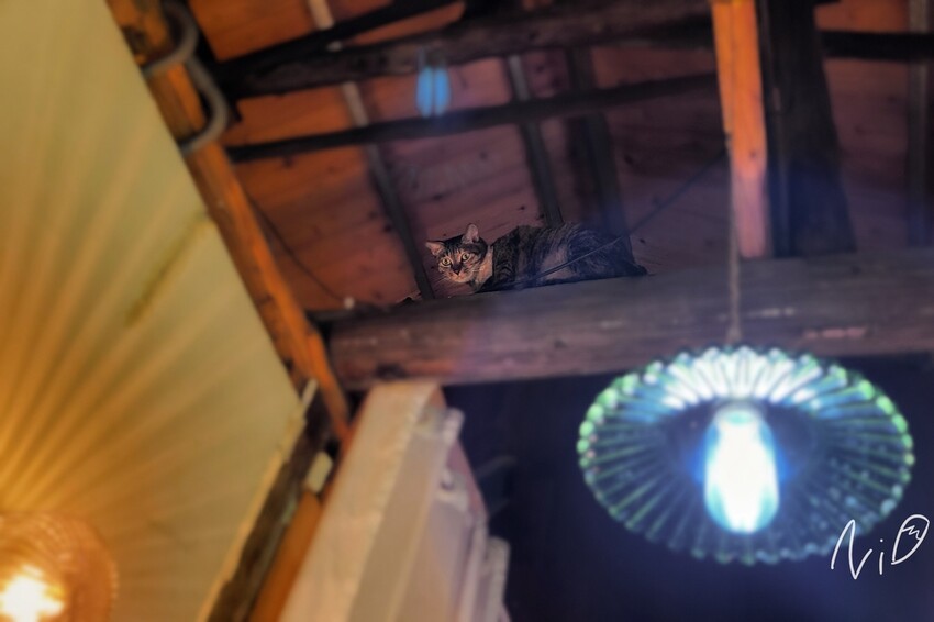 20220515 Tinco 庭口金工