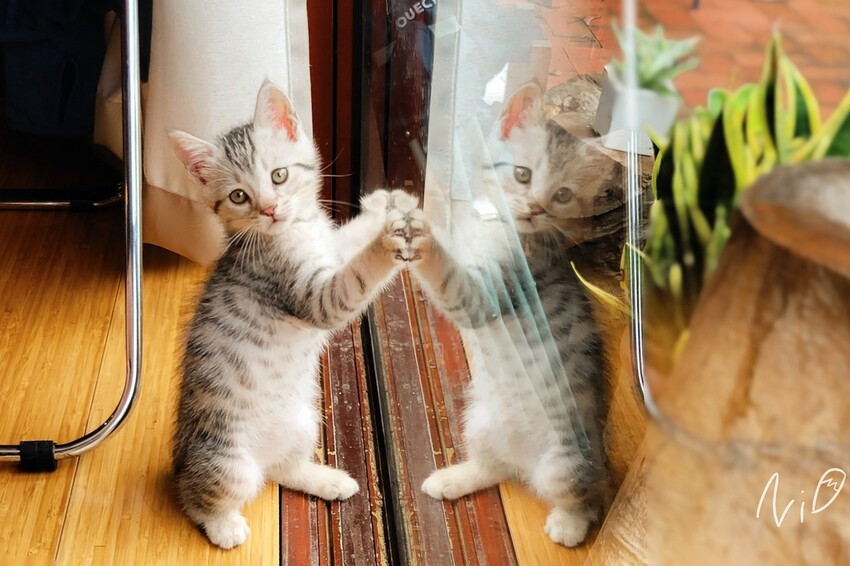 20220515 Tinco 庭口金工