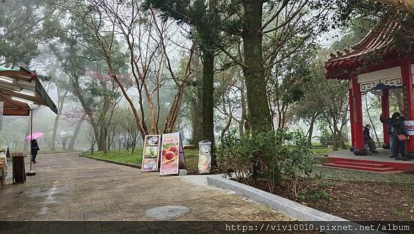 桃園.復興-角板山採山人山產料理，上台地停車場旁第一間，方便又美味，吃完還能逛角板山公園!