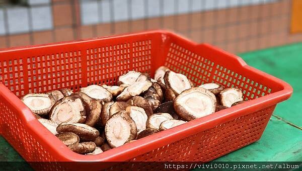 桃園.復興-角板山採山人山產料理，上台地停車場旁第一間，方便又美味，吃完還能逛角板山公園!