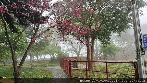 桃園.復興-角板山採山人山產料理，上台地停車場旁第一間，方便又美味，吃完還能逛角板山公園!