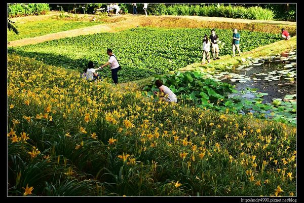 20160529三芝牧蜂農場12