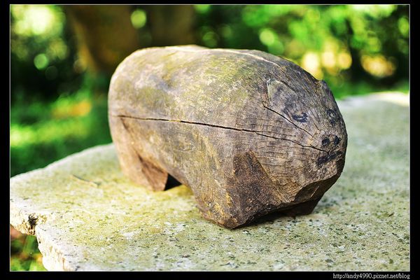 20160529三芝牧蜂農場15