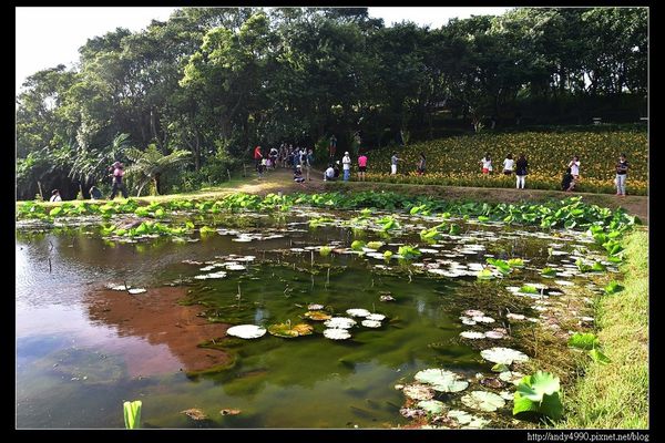 20160529三芝牧蜂農場5