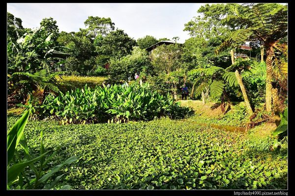 20160529三芝牧蜂農場3