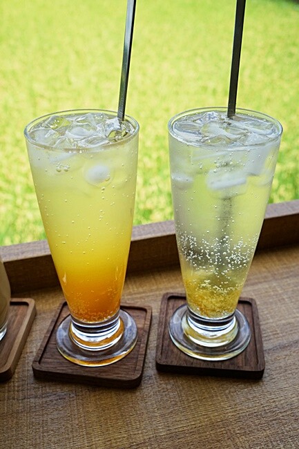 季節限定美景！！一望無際自然系稻田咖啡、甜點店，秘境中的蜜境，千萬記得預約唷！！