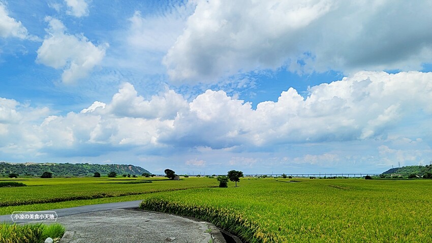 季節限定美景！！一望無際自然系稻田咖啡、甜點店，秘境中的蜜境，千萬記得預約唷！！