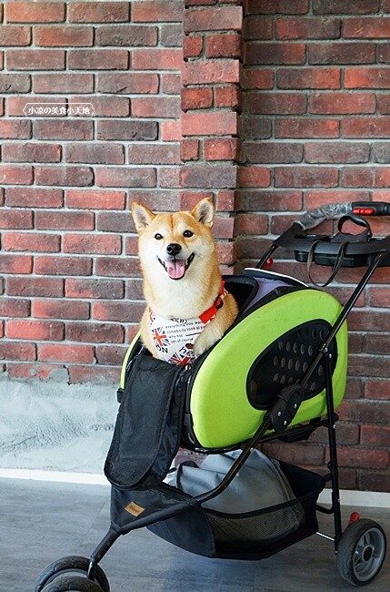 季節限定美景！！一望無際自然系稻田咖啡、甜點店，秘境中的蜜境，千萬記得預約唷！！