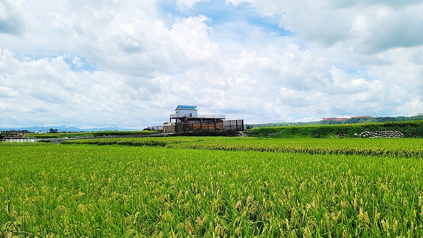 季節限定美景！！一望無際自然系稻田咖啡、甜點店，秘境中的蜜境，千萬記得預約唷！！