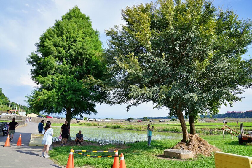 【台中】蜜境，看著稻浪喝咖啡，忘憂谷裡的秘境咖啡廳，貨櫃屋咖啡