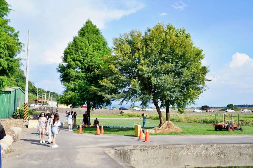 【台中】蜜境，看著稻浪喝咖啡，忘憂谷裡的秘境咖啡廳，貨櫃屋咖啡