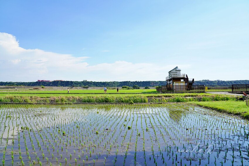 【台中】蜜境，看著稻浪喝咖啡，忘憂谷裡的秘境咖啡廳，貨櫃屋咖啡