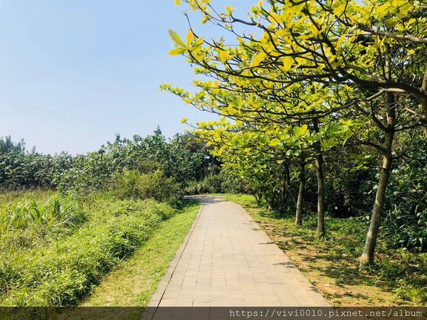 富貴角燈塔_200414_0027.jpg 富貴角燈塔_200414_0027.jpg