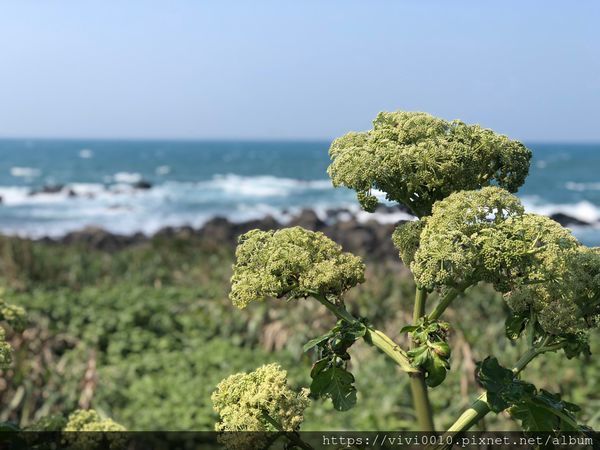 富貴角燈塔_200414_0021.jpg 富貴角燈塔_200414_0021.jpg