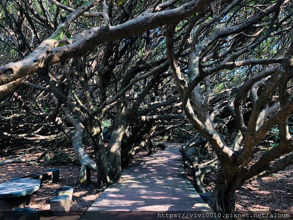 富貴角燈塔_200414_0002.jpg 富貴角燈塔_200414_0002.jpg