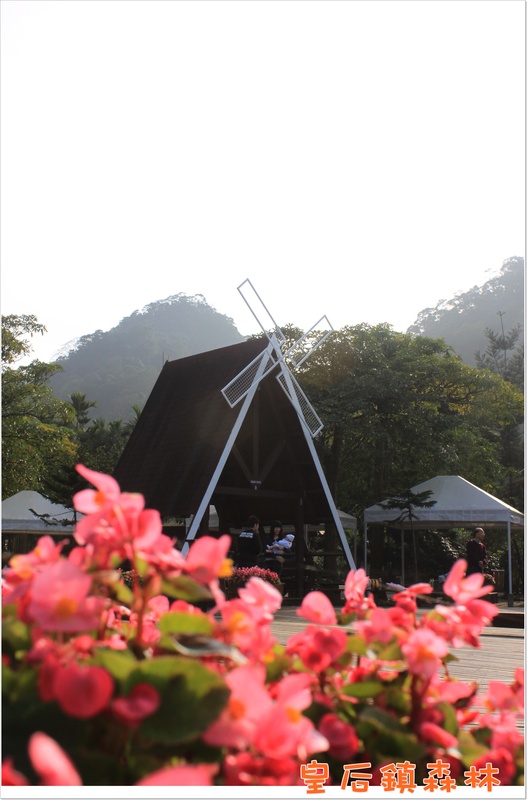 ＊殺底片－皇后鎮森林