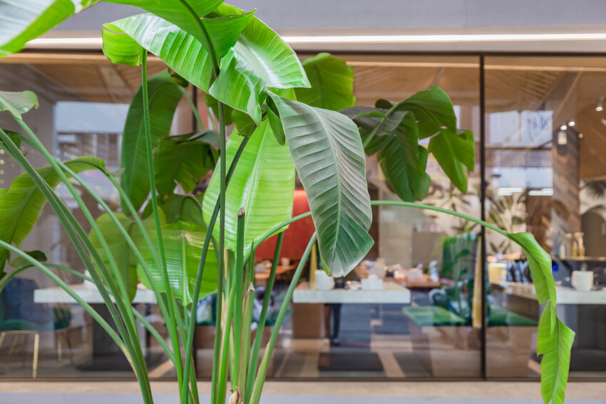 左營精品鍋物 x 奢華海陸饗宴 和牛干貝生蠔齊發 | 母親節禮物吃大餐免洗碗 – 花花世界鍋物 - 高雄旅遊王