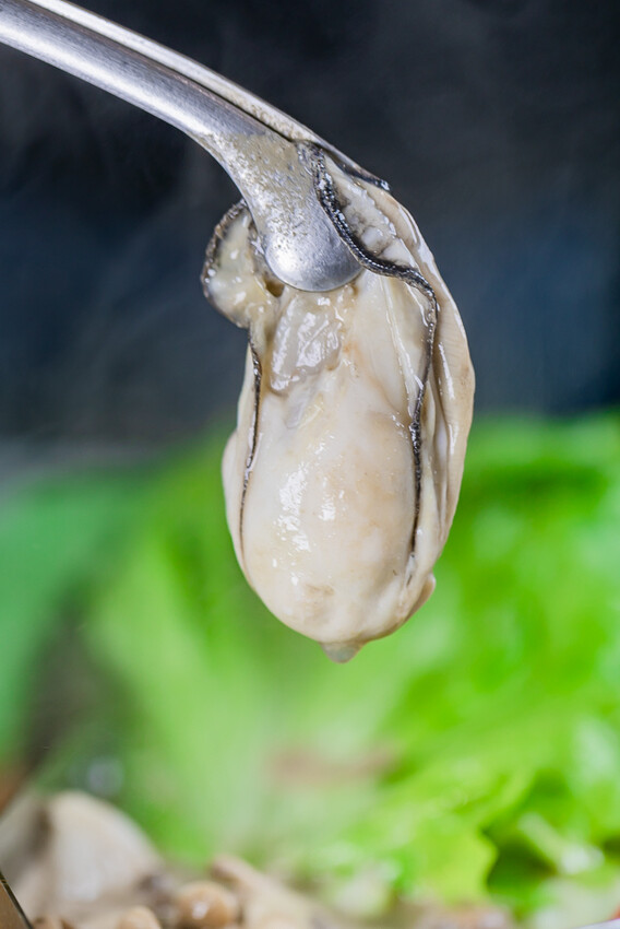 左營精品鍋物 x 奢華海陸饗宴 和牛干貝生蠔齊發 | 母親節禮物吃大餐免洗碗 – 花花世界鍋物 - 高雄旅遊王