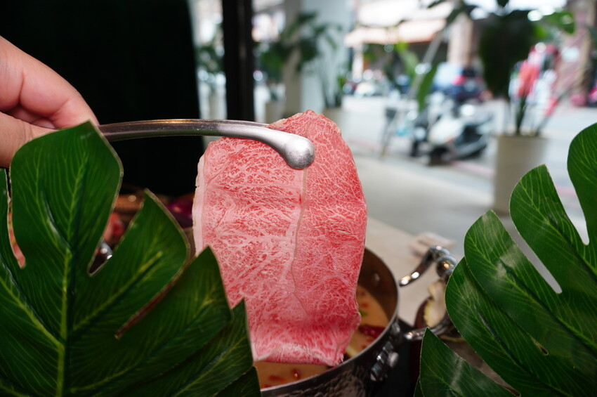 DSC02606.JPG DSC02606.JPG