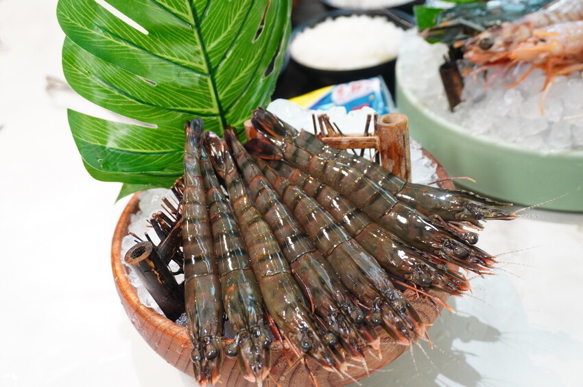 DSC02522.JPG DSC02522.JPG