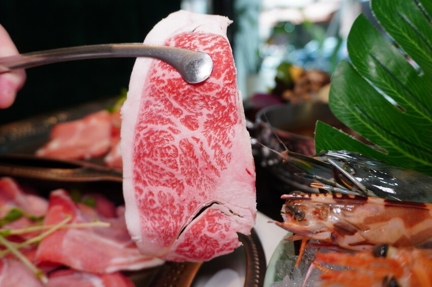 DSC02610.JPG DSC02610.JPG