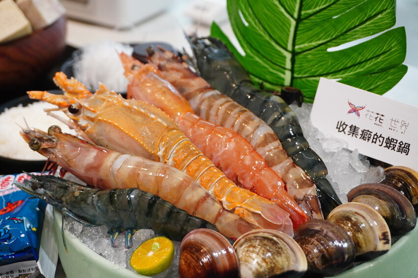 DSC02515.JPG DSC02515.JPG