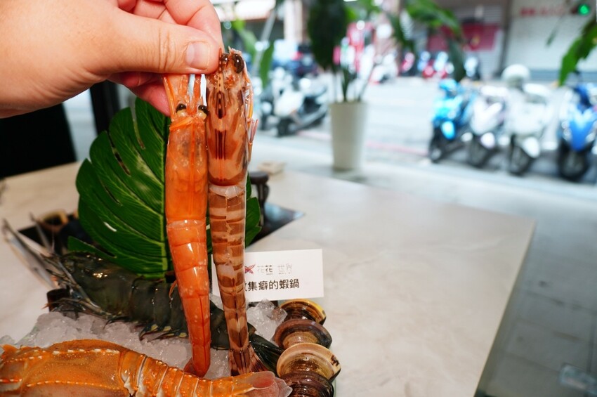 DSC02538.JPG DSC02538.JPG