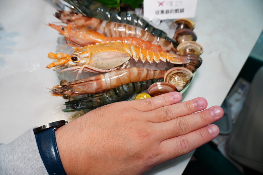 DSC02537.JPG DSC02537.JPG