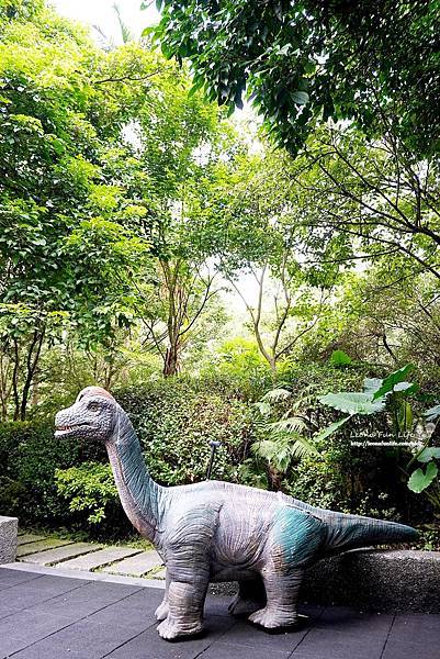 新北景點 大板根恐龍展 門票 探索森林 親子房 大板根森林溫泉酒店評價 住宿推薦 親子景點 親子一日遊 溫泉 森林 侏羅紀 DSC06320.JPG
