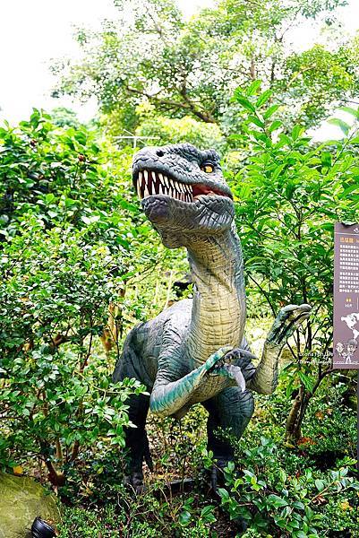 新北景點 大板根恐龍展 門票 探索森林 親子房 大板根森林溫泉酒店評價 住宿推薦 親子景點 親子一日遊 溫泉 森林 侏羅紀DSC06327.JPG
