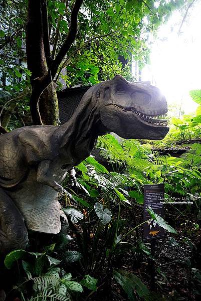 新北景點 大板根恐龍展 門票 探索森林 親子房 大板根森林溫泉酒店評價 住宿推薦 親子景點 親子一日遊 溫泉 森林 侏羅紀DSC06878.JPG