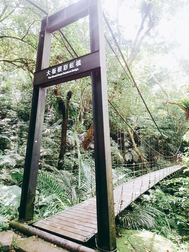 遊記：新北市三峽大板根森林遊樂園區，烤肉、踏青、玩水的好地方6/30前平日可以免費入園